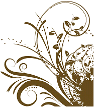 Body and Face Beauty Salon